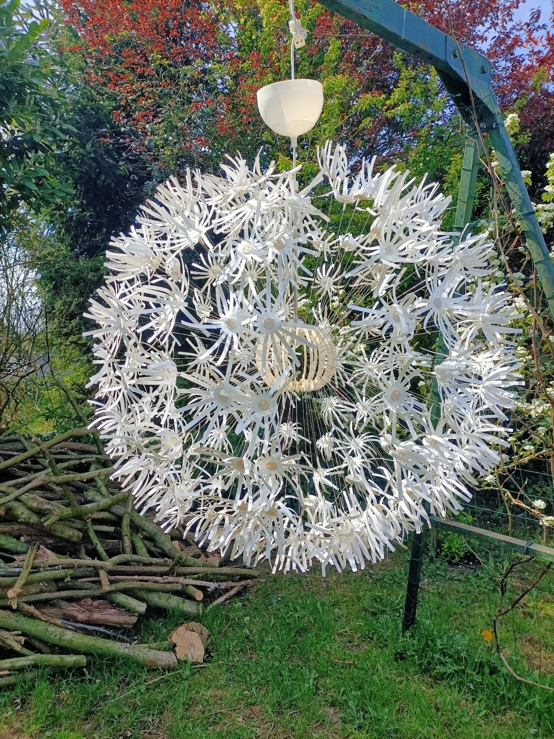 Dandelion pendant light