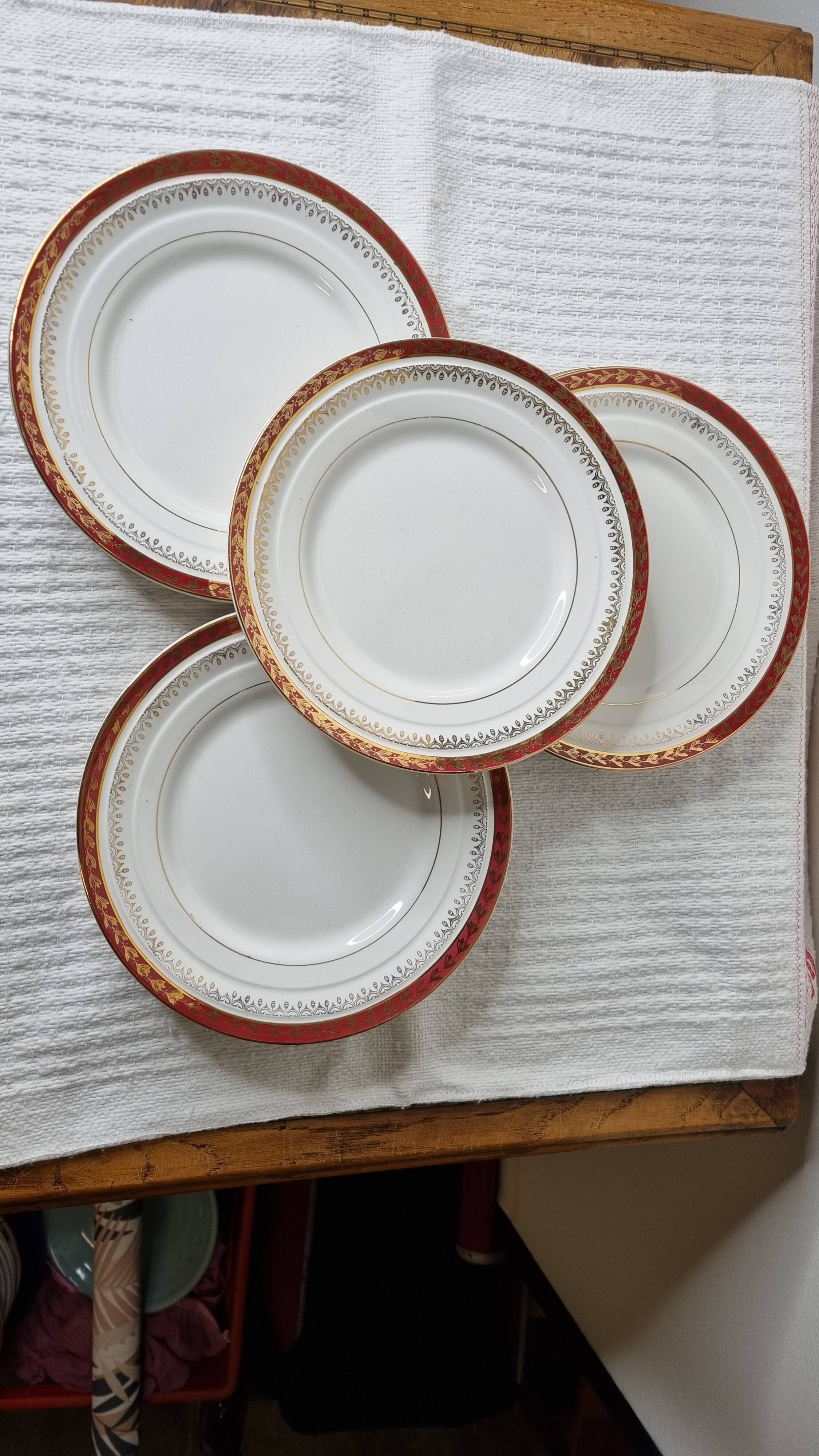 Ceranord porcelain dinner plates