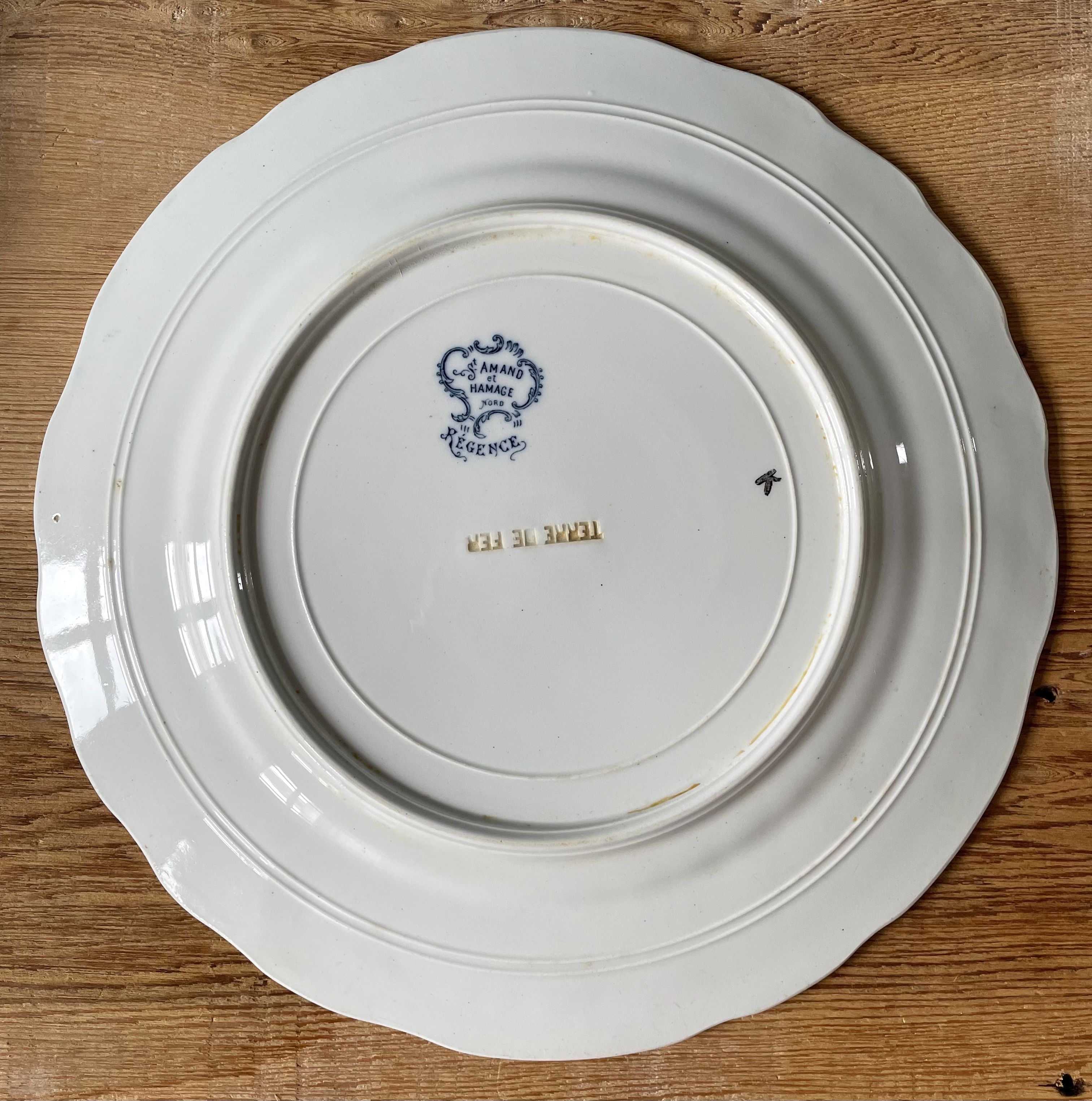 Set of 5 flat plates Terre De Fer XIXth, collection "Regency" St Amand & Hamage Nord