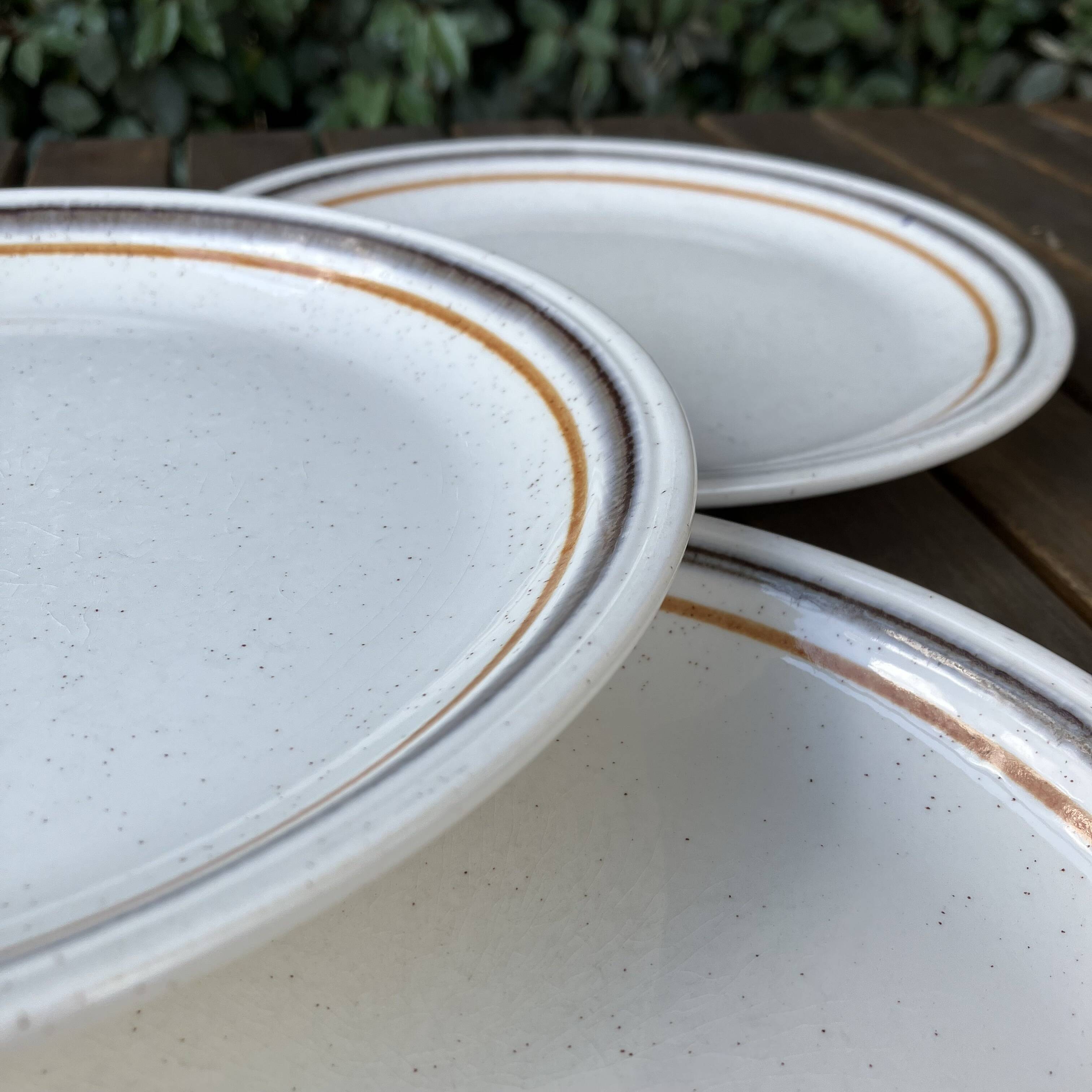 Biltons Dinner Plates