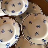 8 flat plates in antique earthenware