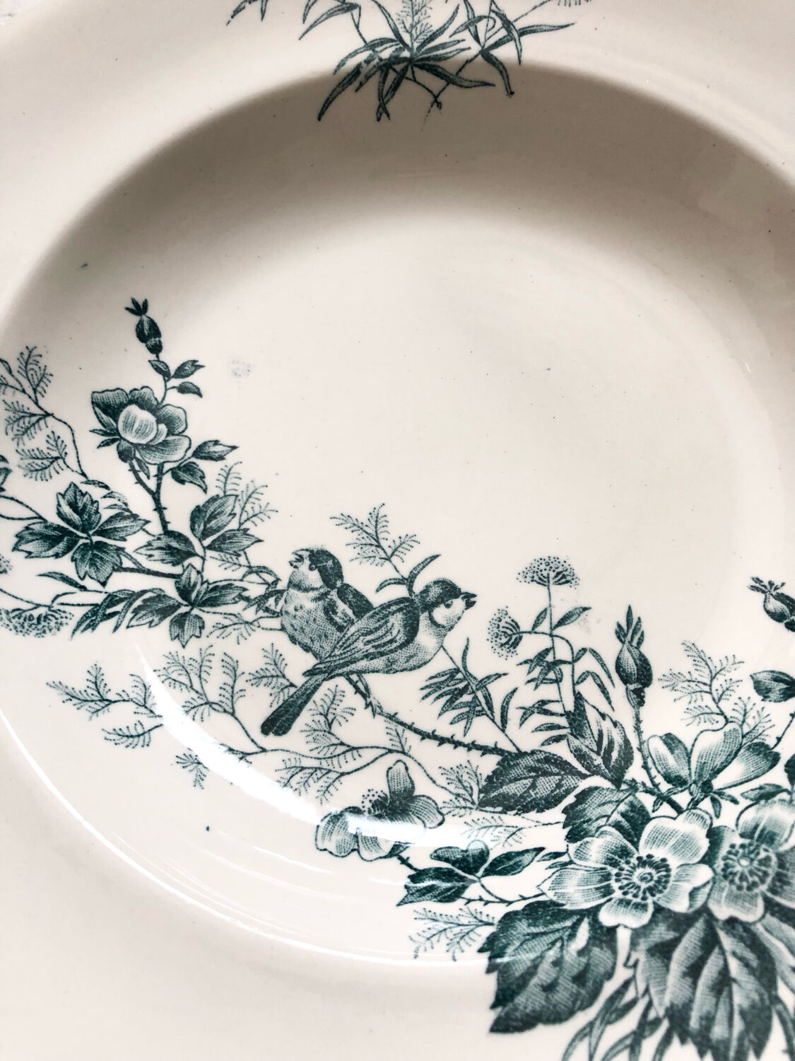 6 assiettes terre de fer oiseaux Longwy « mignon »