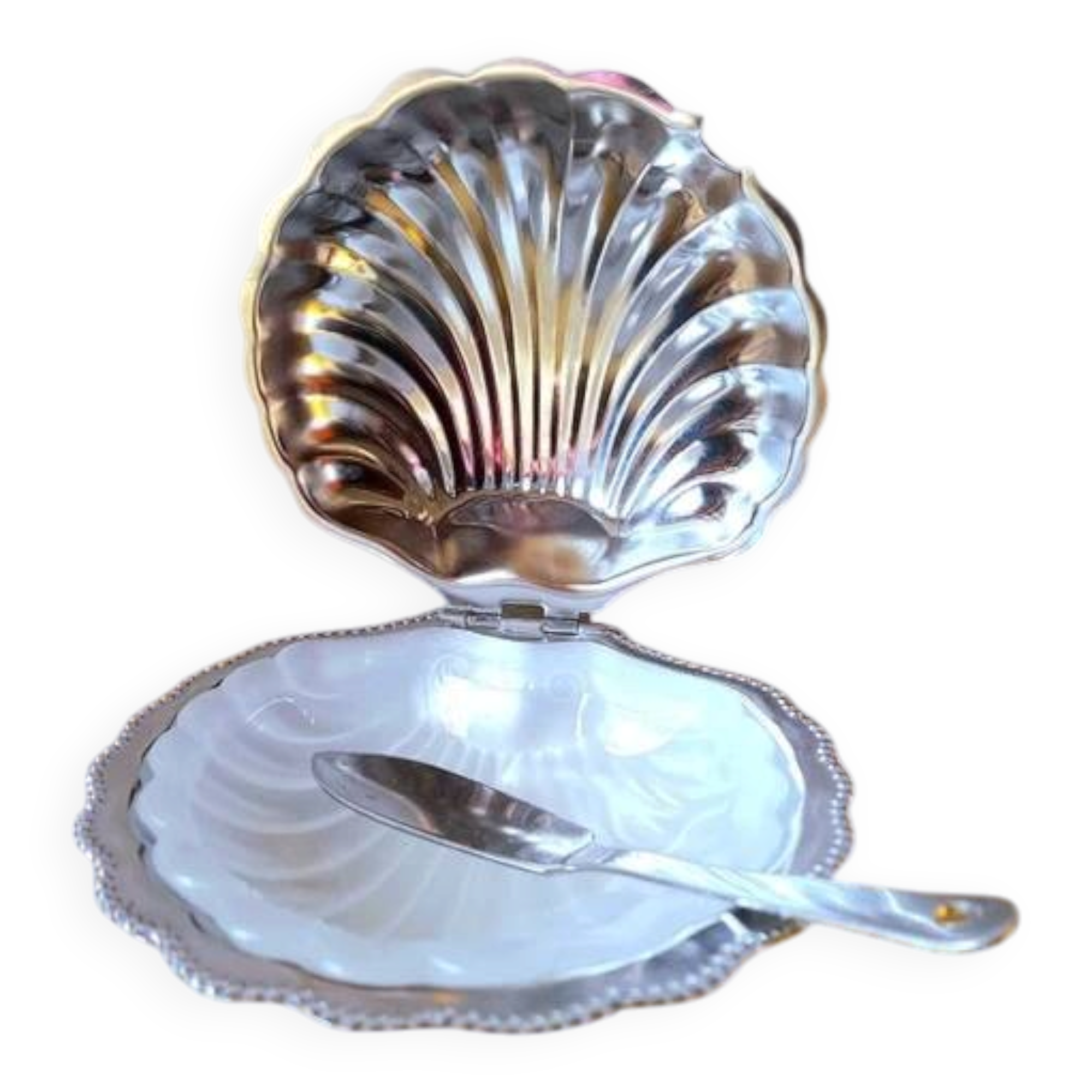Shell butter dish and stainless steel knife