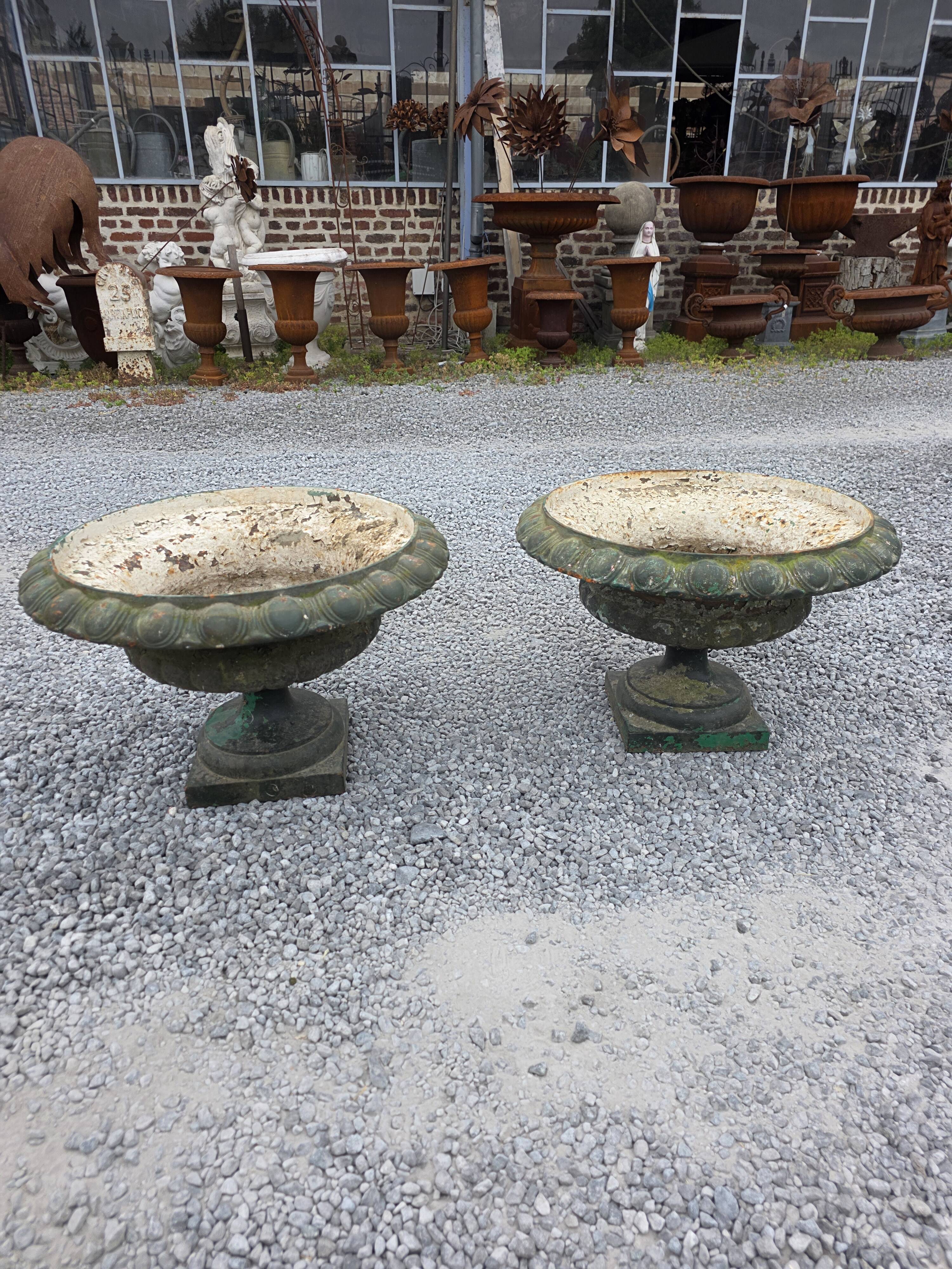 Pair of Medici vases in cast iron from the 19th century, 55cm wide.
