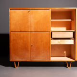 Pastoe cupboard CB01 designed by Cees Braakman