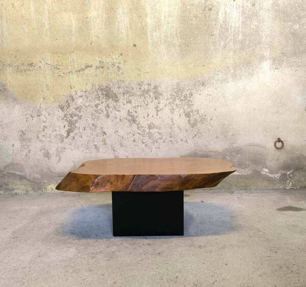 Table basse, plateau tronc d'arbre