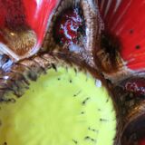 Earthenware oyster plate