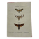Gravure botanique papillons double face planche naturaliste Eau forte