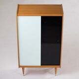 Vintage Scandinavian library - 1960