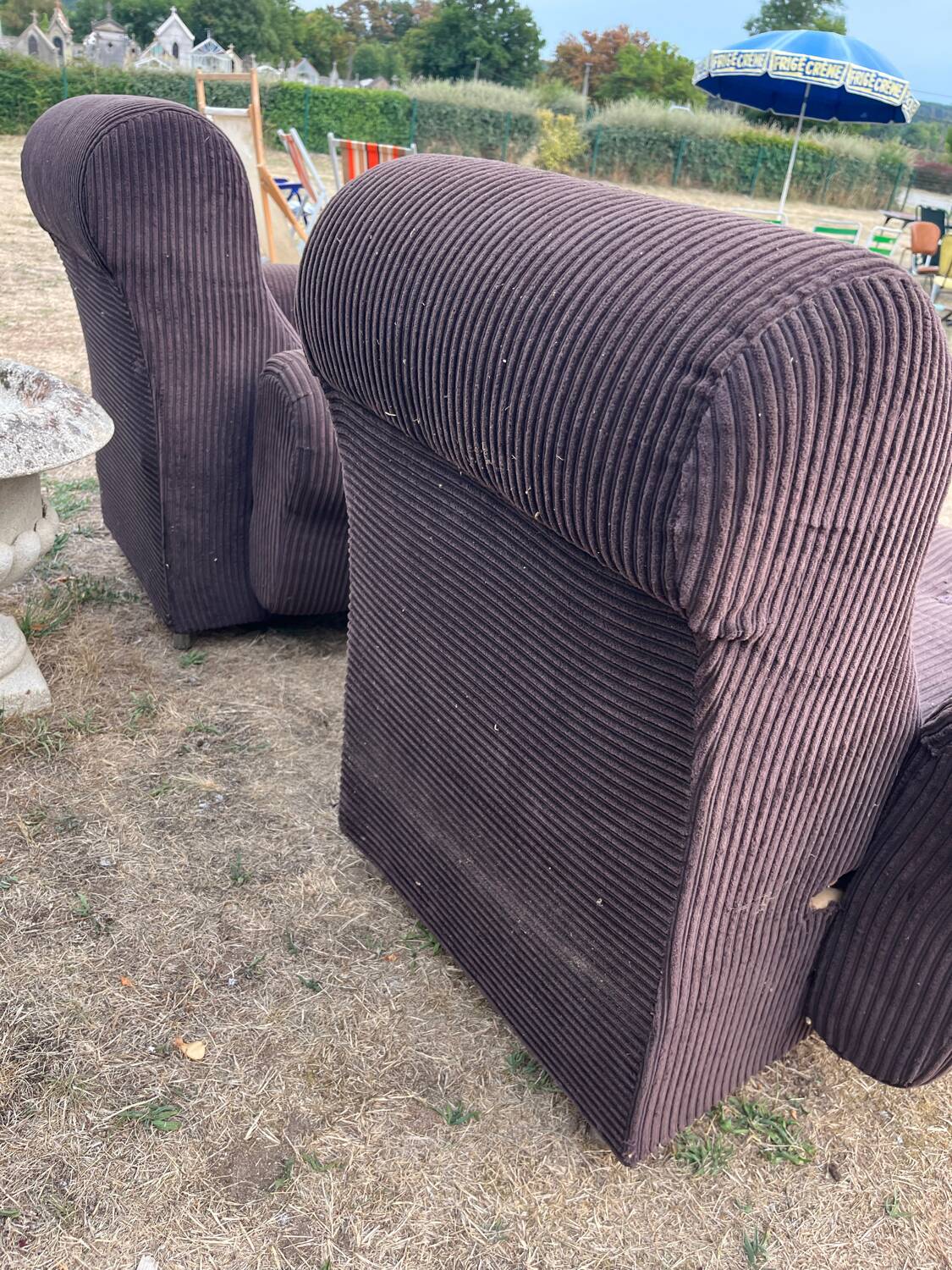 Fauteuils velours