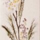 White ceramic herbarium vase by Raymonde Leduc, Vallauris, 1960s