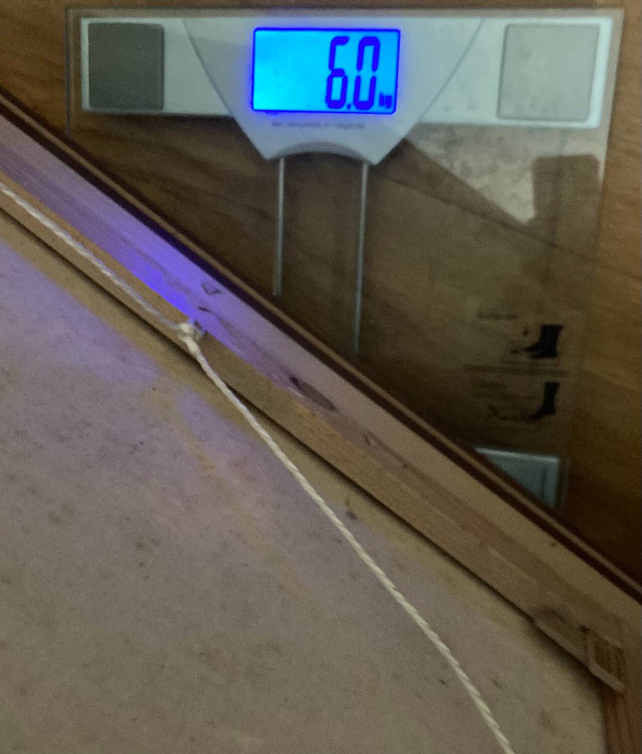 Large HST painting depicting a floral bouquet signed Lina Pont (?)