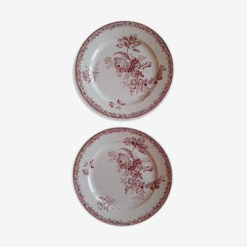 Plate duo in Sarreguemines earthenware - fontanges model