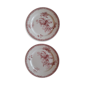 Plate duo in Sarreguemines earthenware - fontanges model