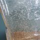 Bubble glass vase