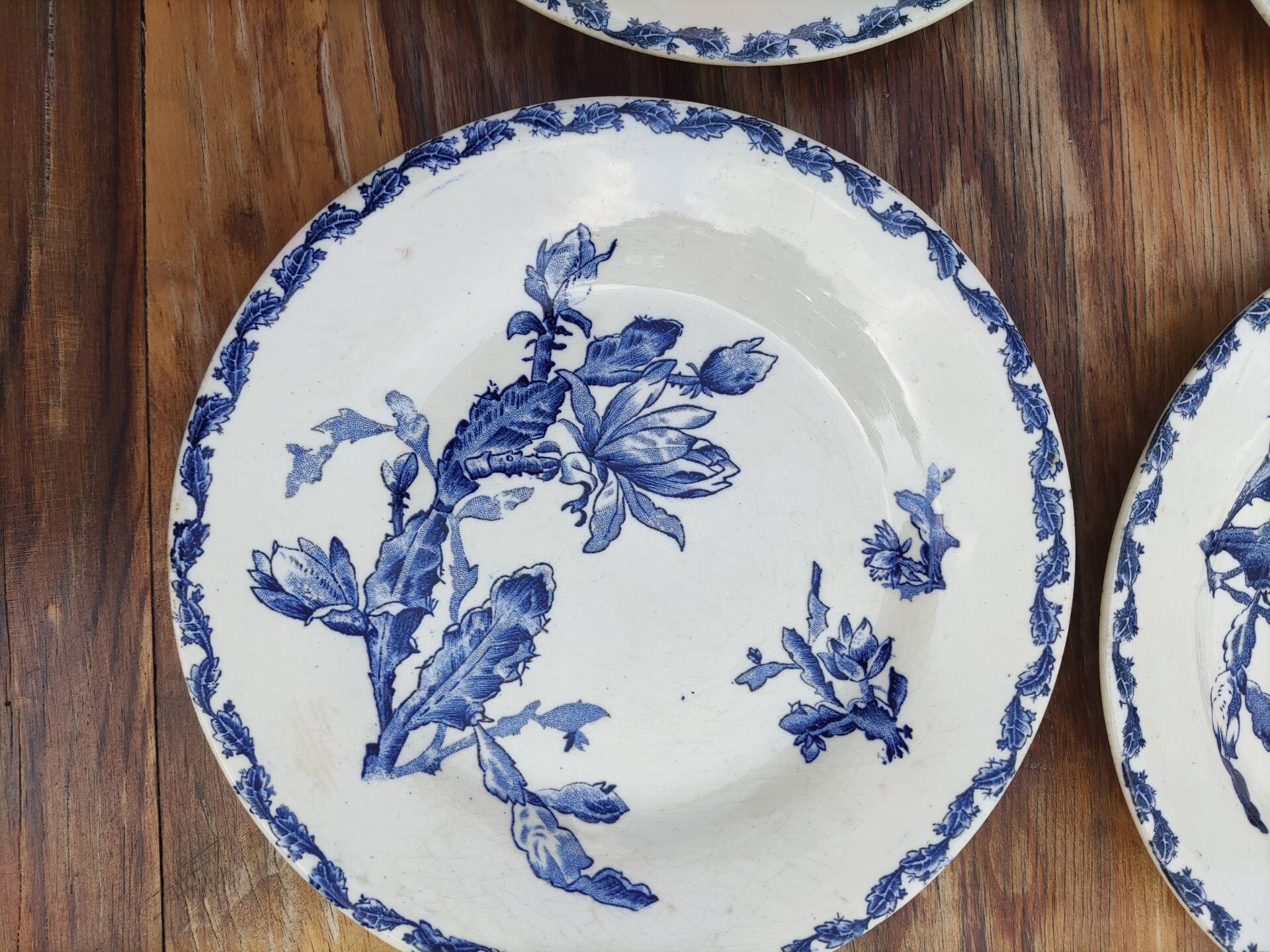 6 flat plates made of Gien earthenware - ironstone - cactus model