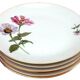 6 Bohemian Fine Porcelain Dinner Plates