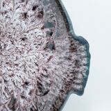 Plateau de poissons Marius Giuge