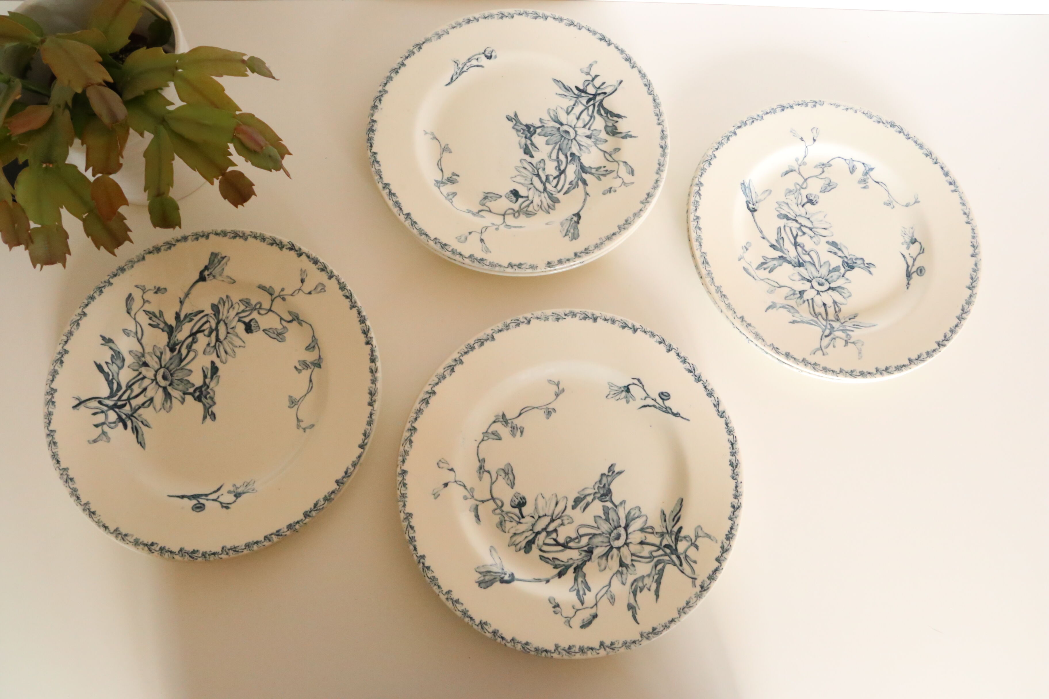 Plate Luneville Marguerite motif