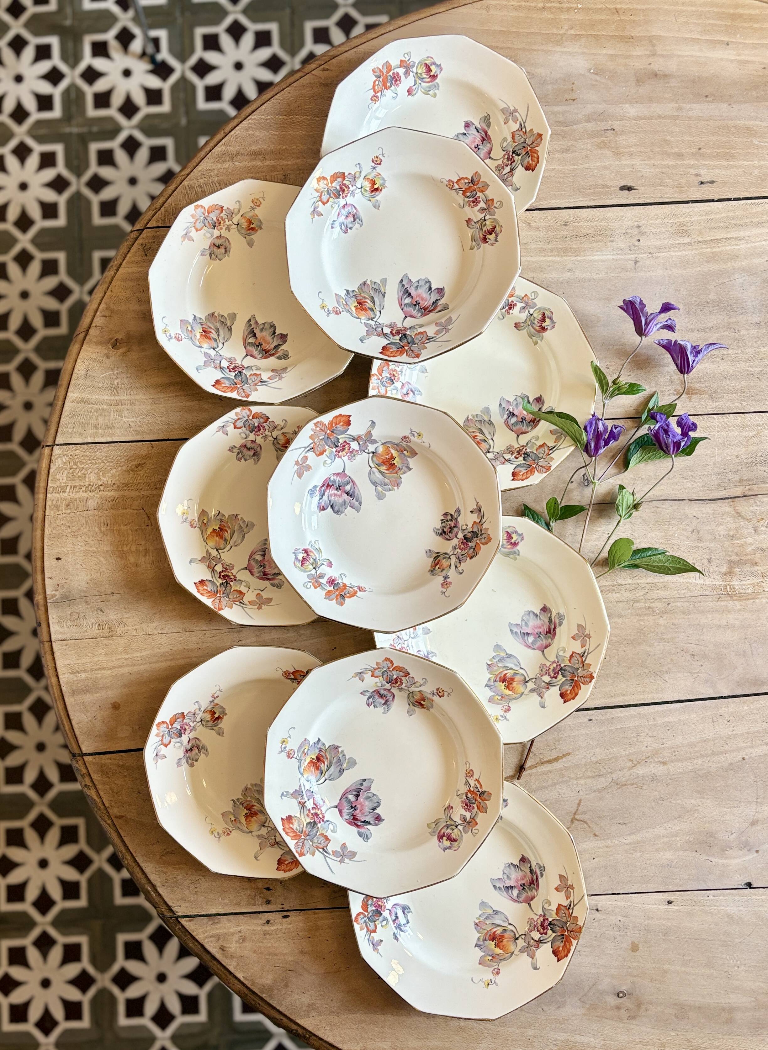 Set of 10 old hollow plates - Saint Amand in iron earth