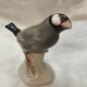 Moineau de Java (ateliers de porcelaine de Schwarbourg)