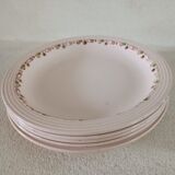 5 plates Terre de fer Longwy