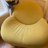 Fauteuil leolux papageno