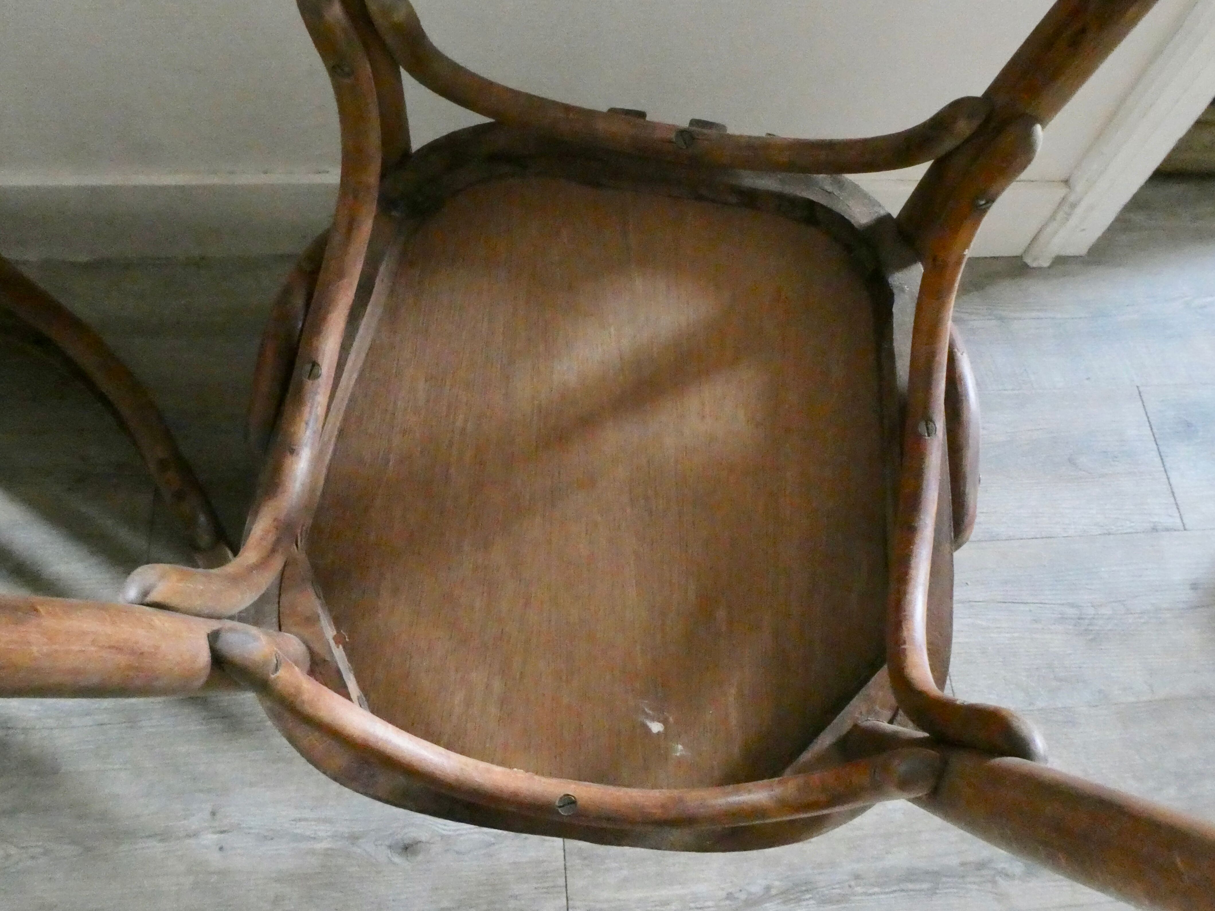 Paire de fauteuils de bistrot Fischel en bois courbé