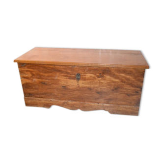 Old trunk