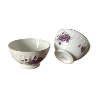 Duo of vintage white porcelain bowls decorating violet flowers and gold/silver edges