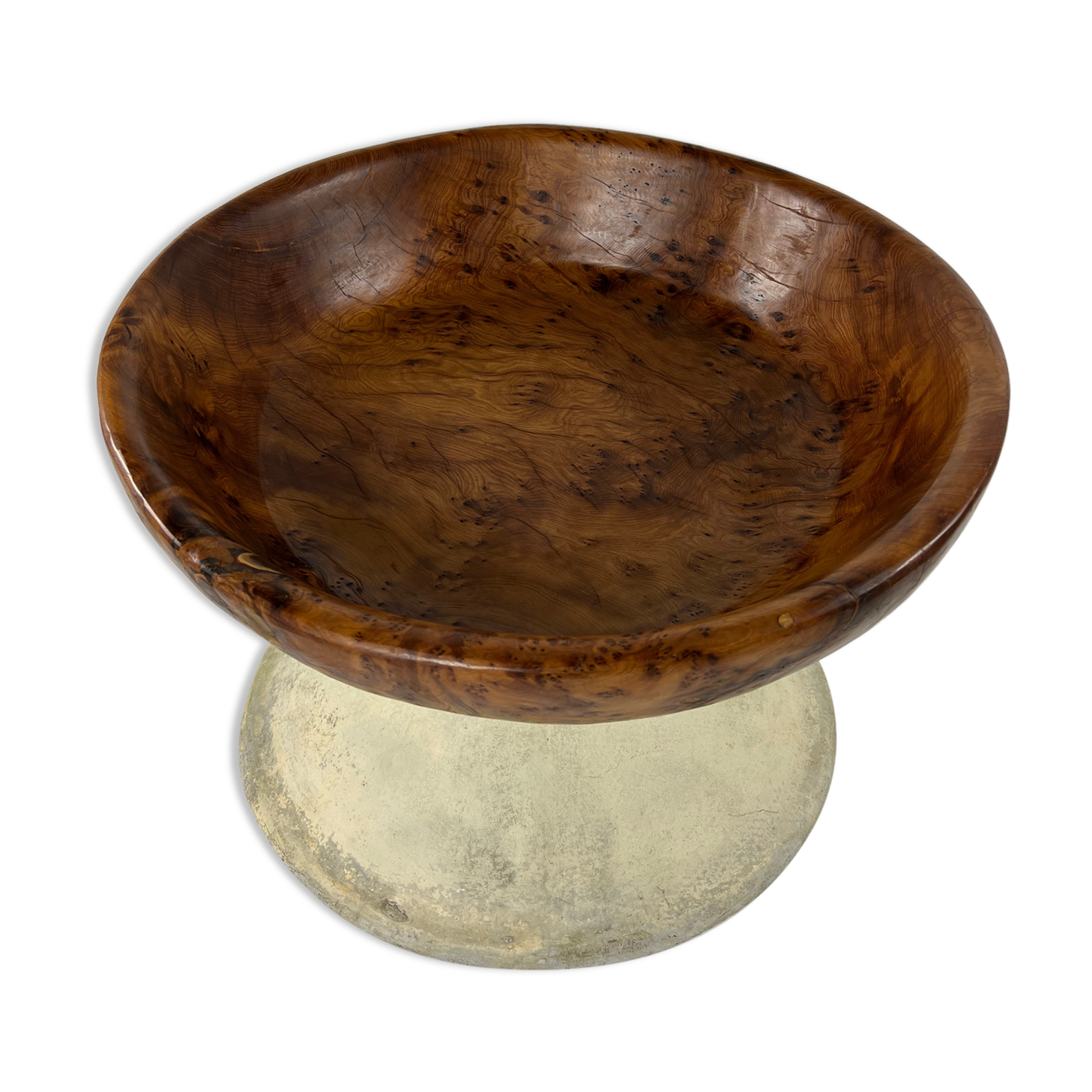 Xxl dish in tuya root