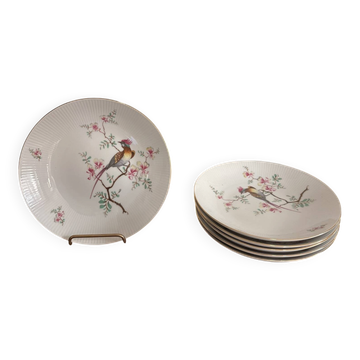 ⁠Lot 6 Assiettes Creuses Porcelaine Seltmann Weiden Bavaria  Oiseaux Faisan