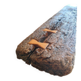 Centenary currency exchange bank