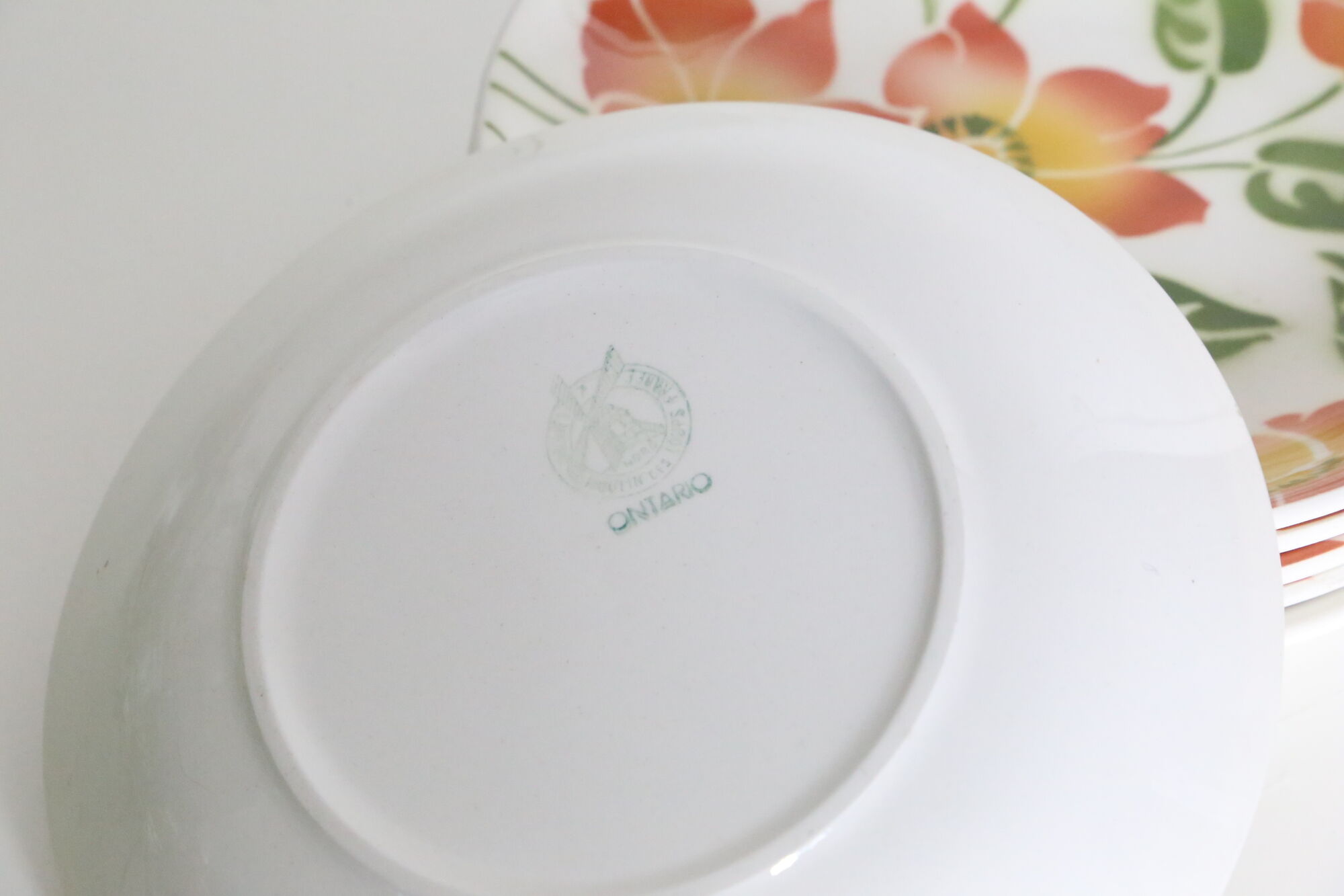 Set of 6 hollow plates Moulin des Wolves, Ontario motif
