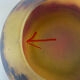 Circular glass bowl - hand-painted by Jean Simon Peynaud