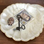 Vide poche coquille en nacre