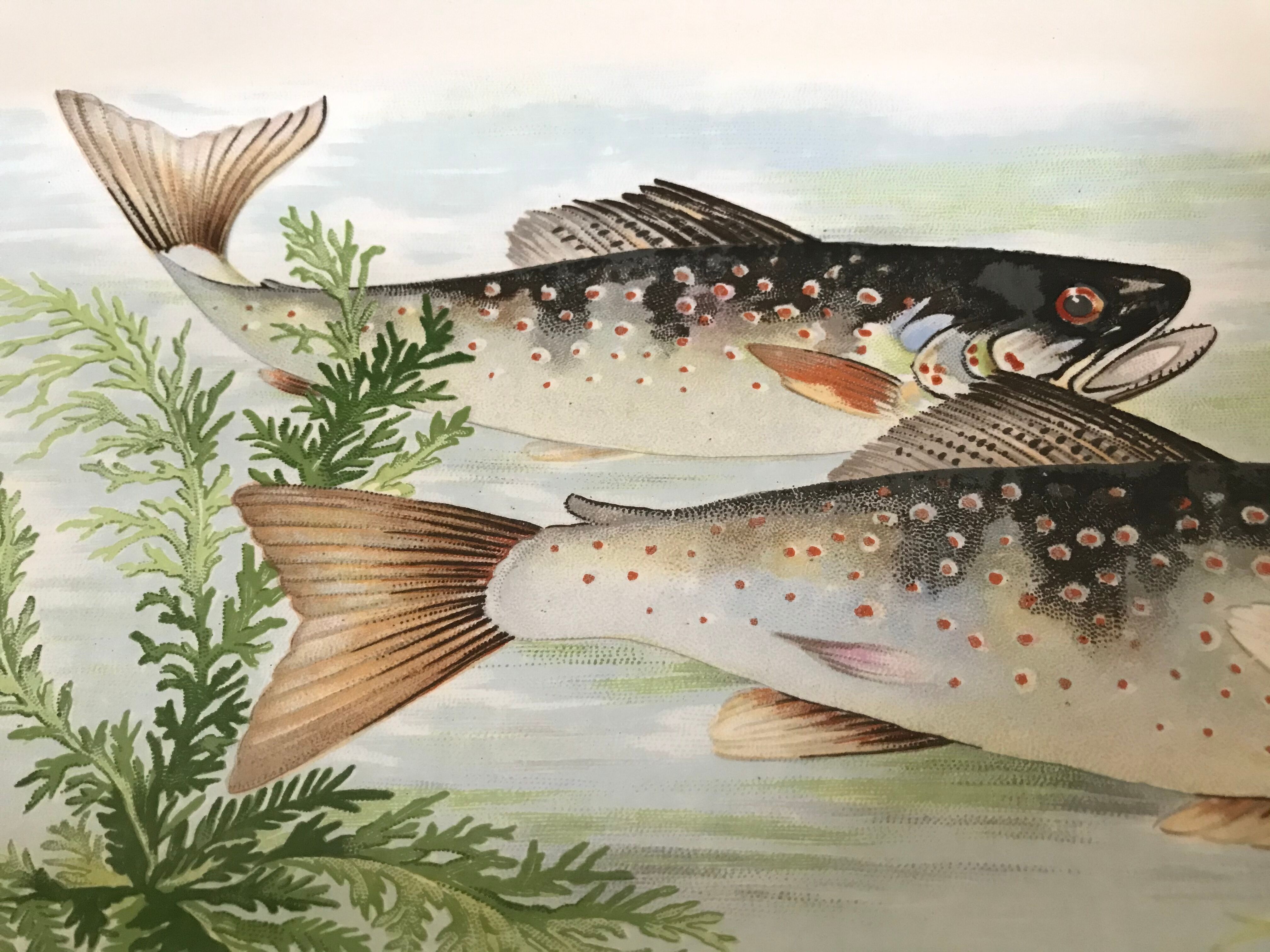 Digoin & Sarreguemines dish