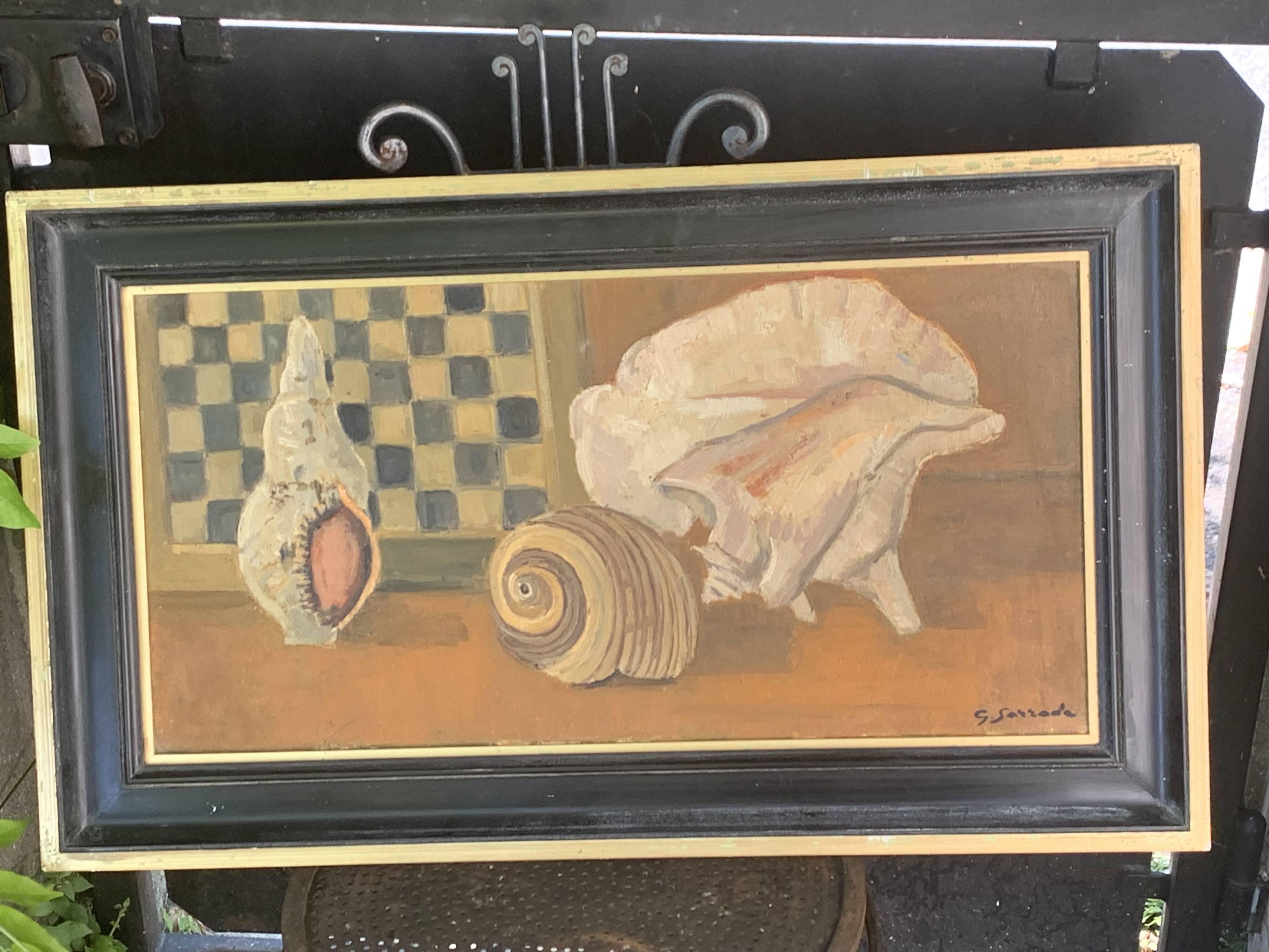 Large painting frames shells, cabinet of curiosities, sign