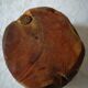 Cache pot en bois brut