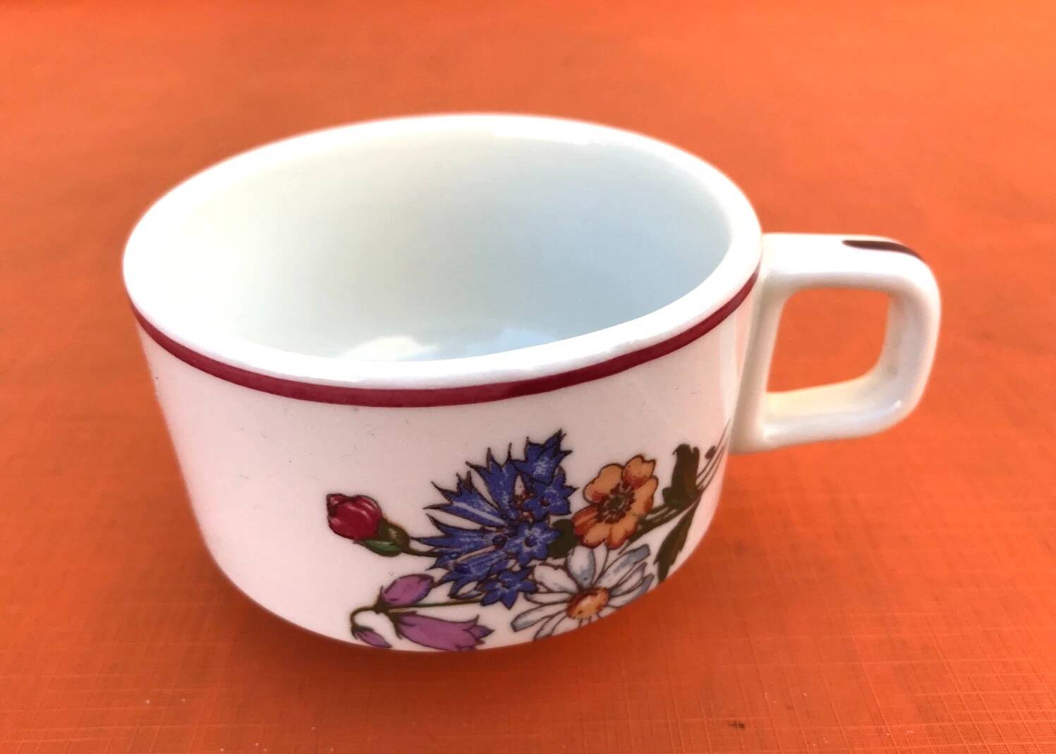 Pyroblan Porcelain Coffee Cup / Saucer Sarreguemines France