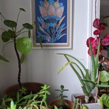 illustration fleurs bleue