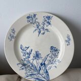 Assiette Boch Frères Keramis Pétunia