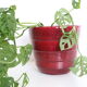 Ceramic pot, vintage