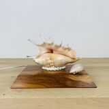 Vintage shell lamp with wooden base