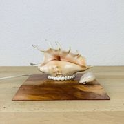 Lampe coquillage vintage socle bois