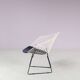 Chaise « Little Diamond » des années 1950 par Harry Bertoia pour Knoll International, États-Unis