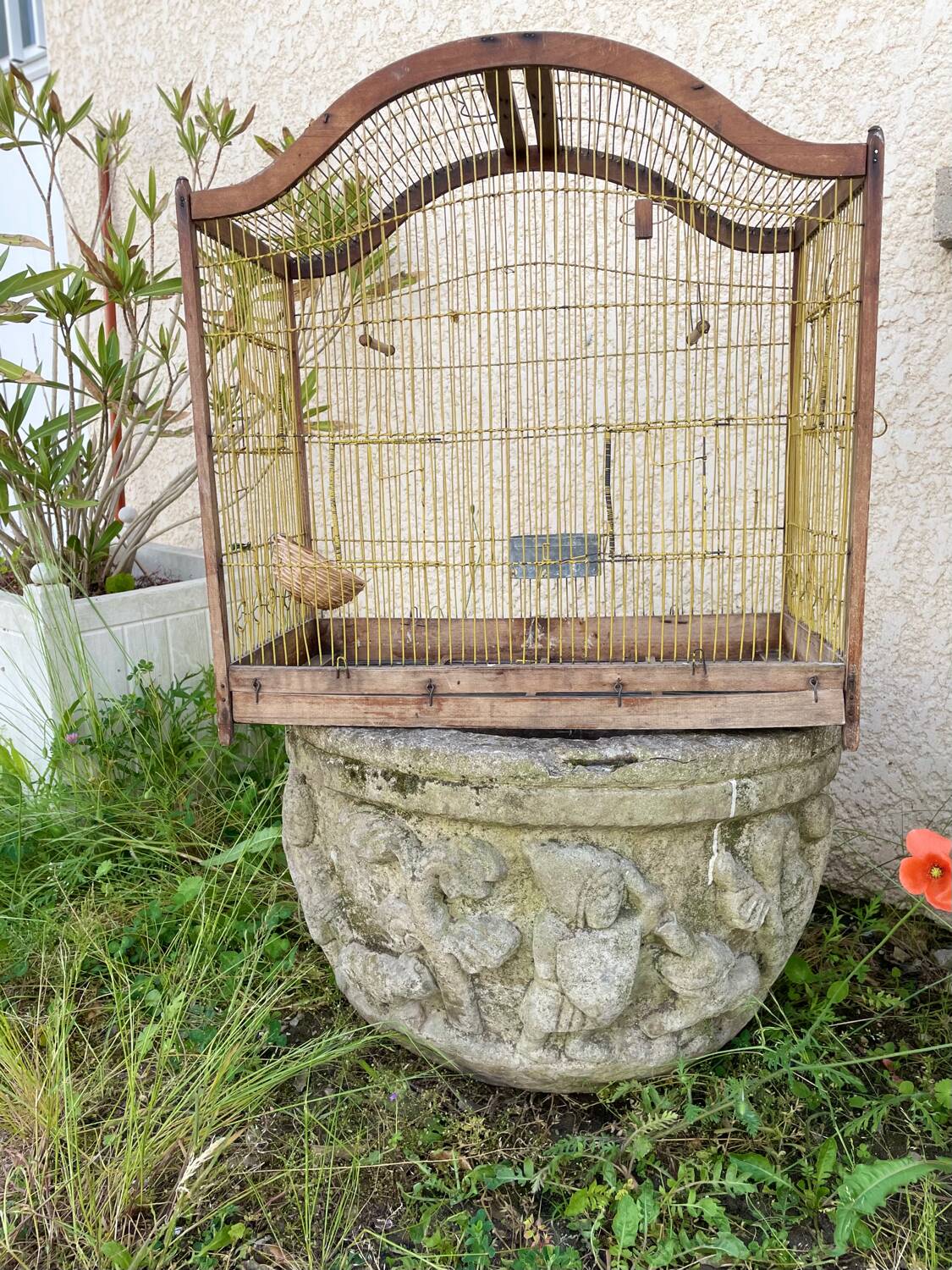 Old birdcage