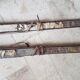 Nordic skiing in wood and skin former