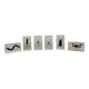 Set of 6 insects inclusion in resin