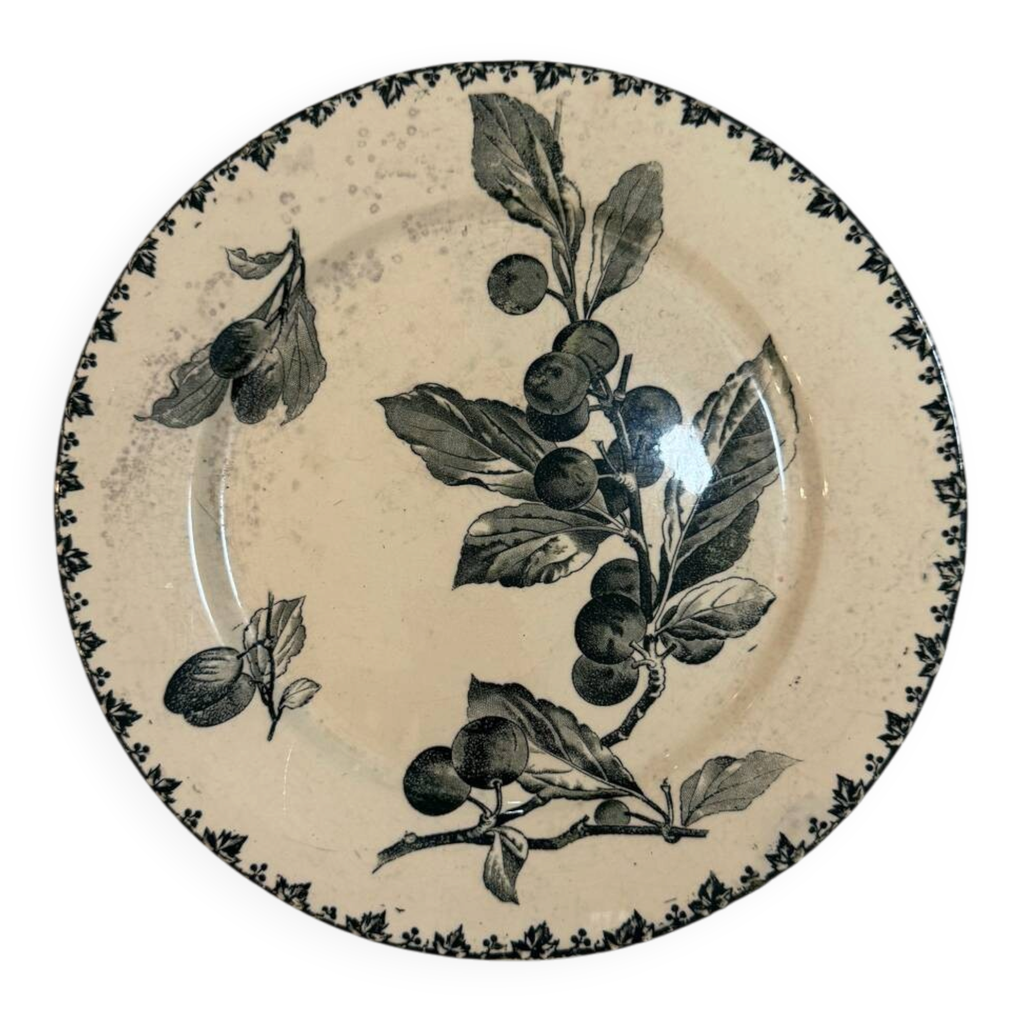 Prune bowls Sarreguemines